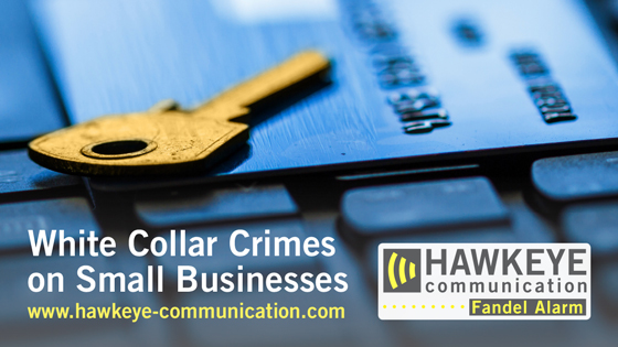 White Collar Crimes on Small Businesses