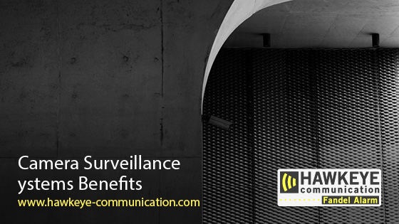 5 Ways Camera Surveillance Systems Benefit Every Small Business