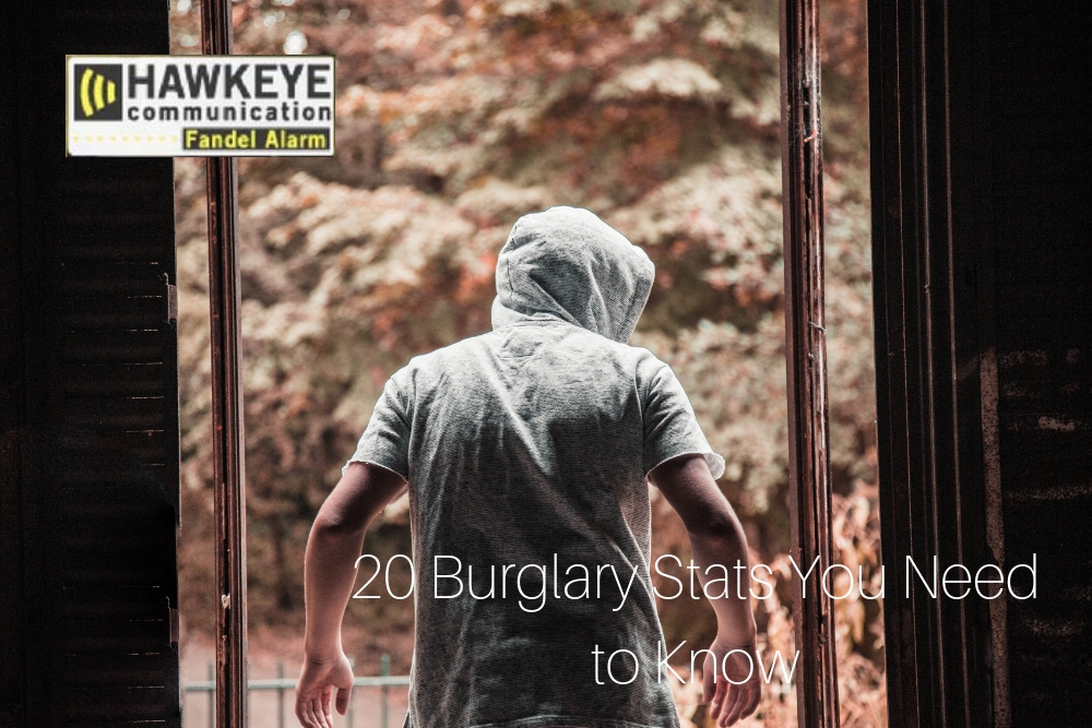 20 Burglary Stats You Need to Know.jpg