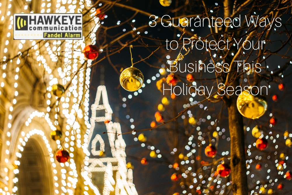 3 Guaranteed Ways to Protect Your Business This Holiday Season